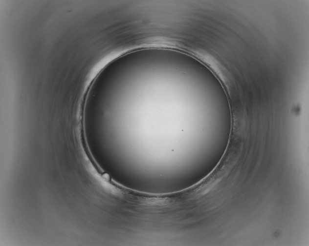 X0000096971387200802081242