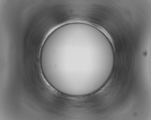X0000096971388200802081242