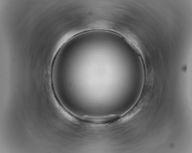X0000096971389200802081242