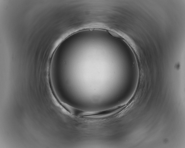 X0000096971390200802081242