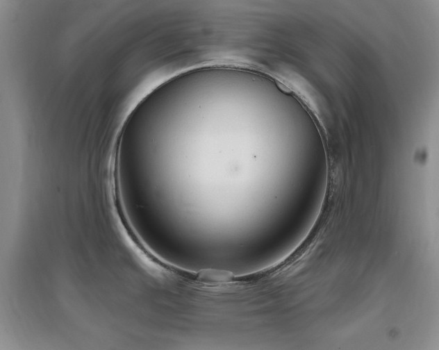 X0000096971391200802081242