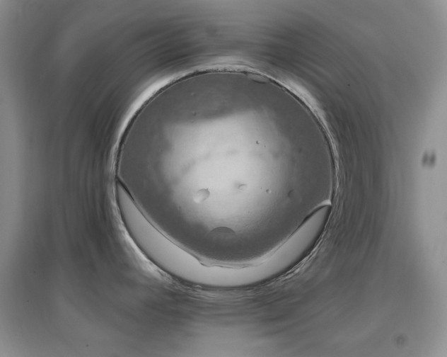 X0000096971392200802081242