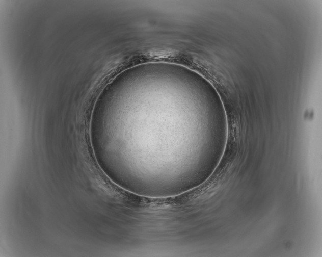 X0000096971393200802081242