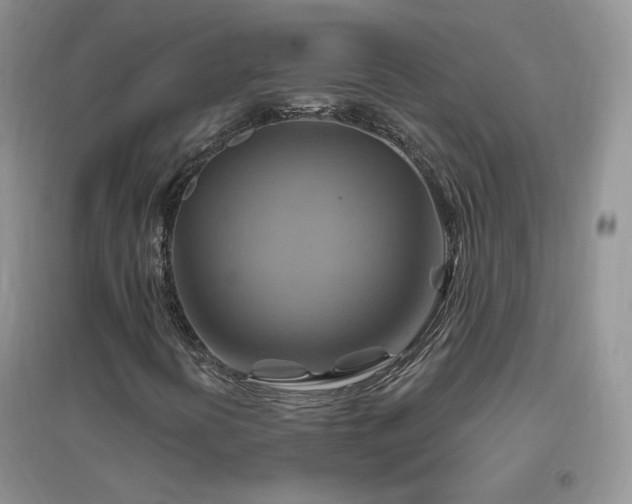 X0000096971394200802081242