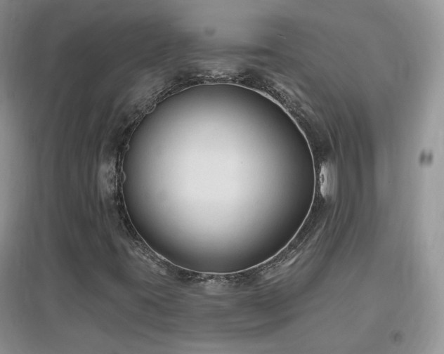 X0000096971395200802081242