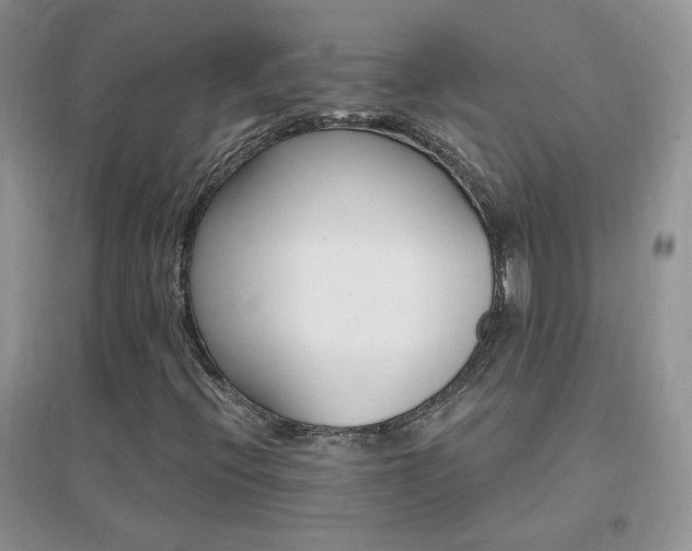 X0000096971396200802081242