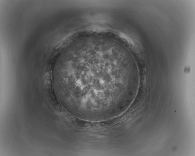 X0000096971397200802081242