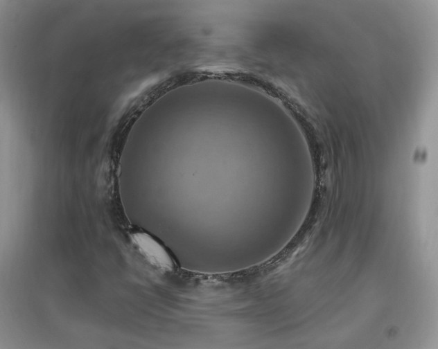 X0000096971398200802081242
