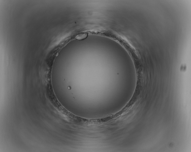 X0000096971399200802081242