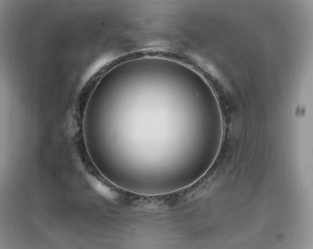 X0000096971400200802081242