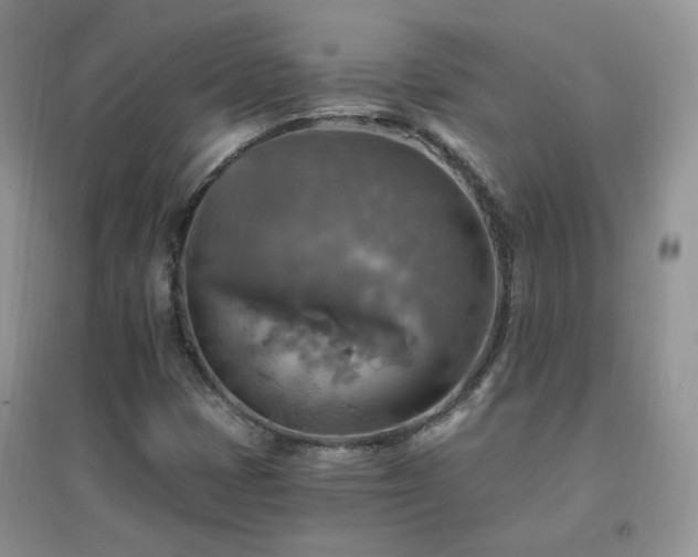 X0000096971401200802081242