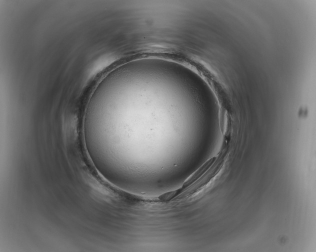 X0000096971402200802081242