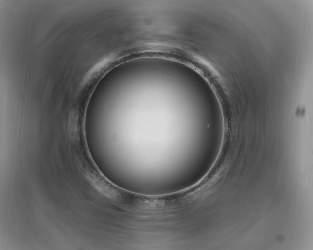 X0000096971403200802081242