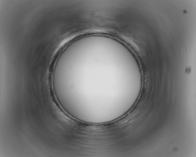 X0000096971404200802081242