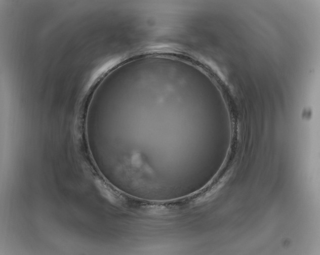 X0000096971405200802081242