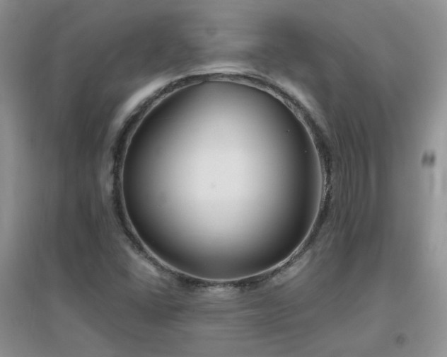 X0000096971406200802081242
