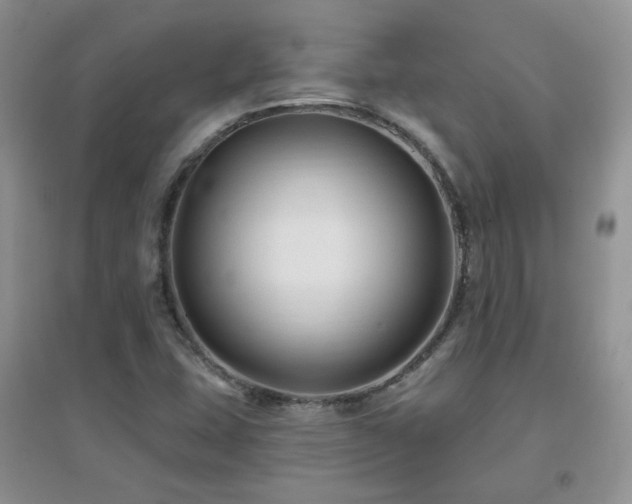 X0000096971407200802081242