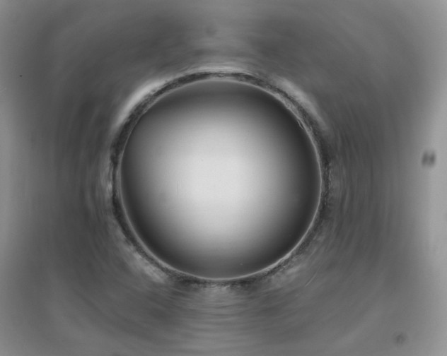 X0000096971408200802081242