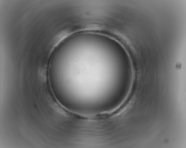 X0000096971409200802081242