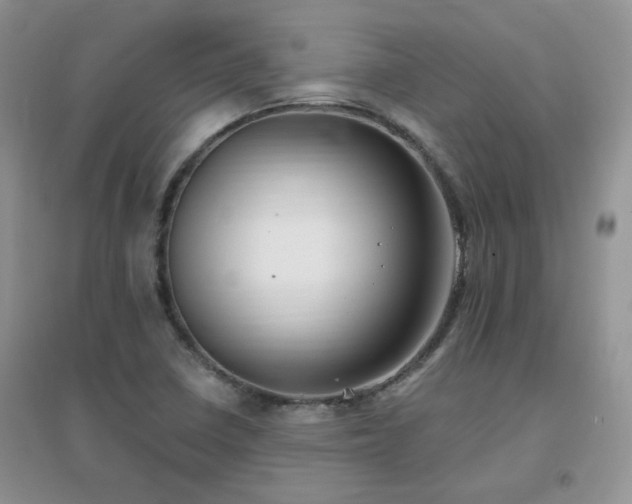 X0000096971410200802081242