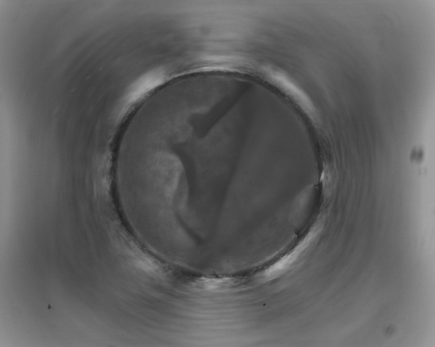 X0000096971411200802081242