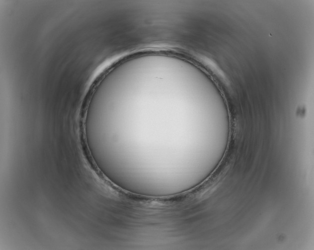 X0000096971412200802081242