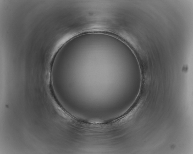 X0000096971413200802081242