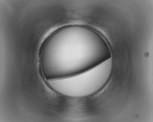 X0000096971414200802081242