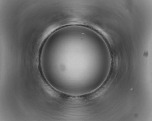 X0000096971415200802081242