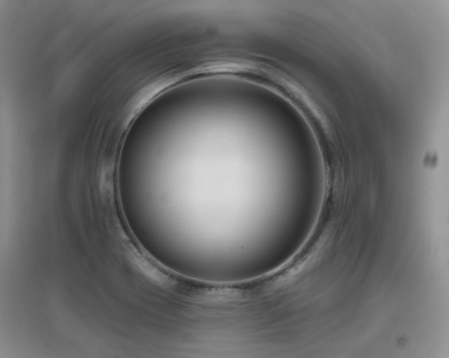 X0000096971417200802081242