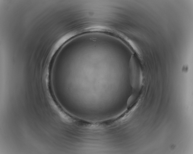 X0000096971418200802081242