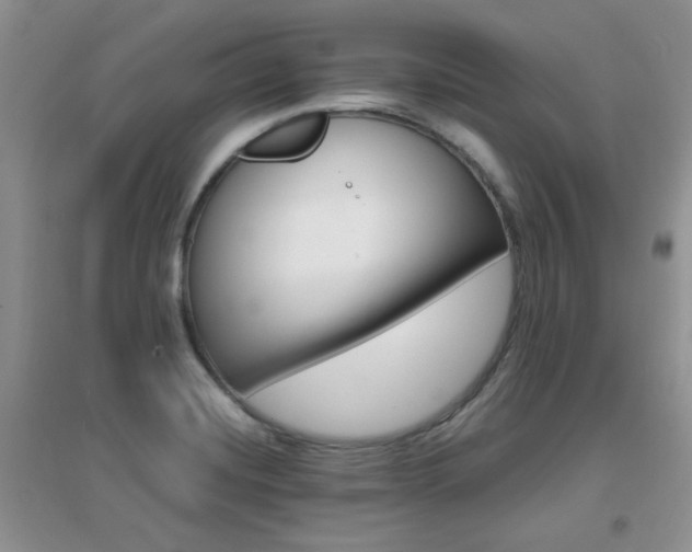 X0000096971420200802081242