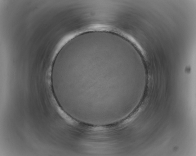 X0000096971421200802081242