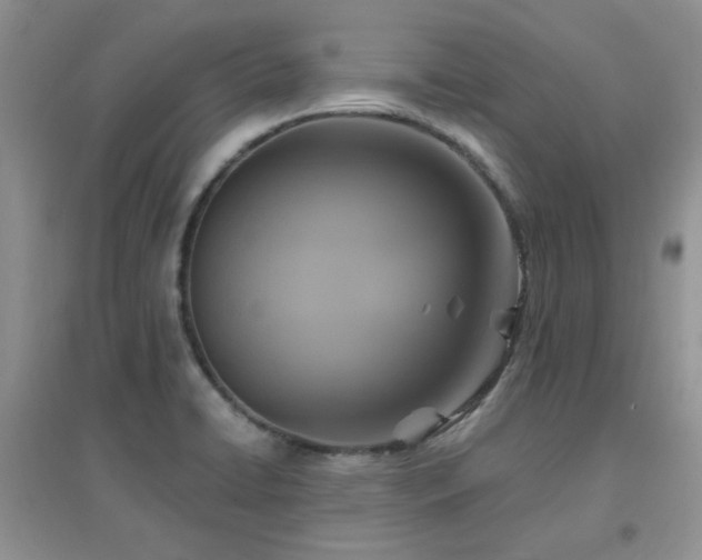 X0000096971422200802081242