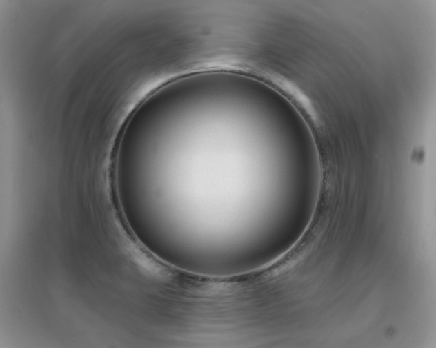 X0000096971423200802081242