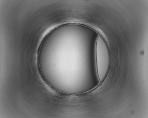X0000096971424200802081242