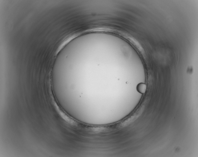 X0000096971425200802081242