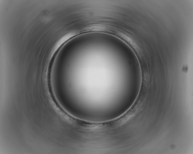 X0000096971426200802081242