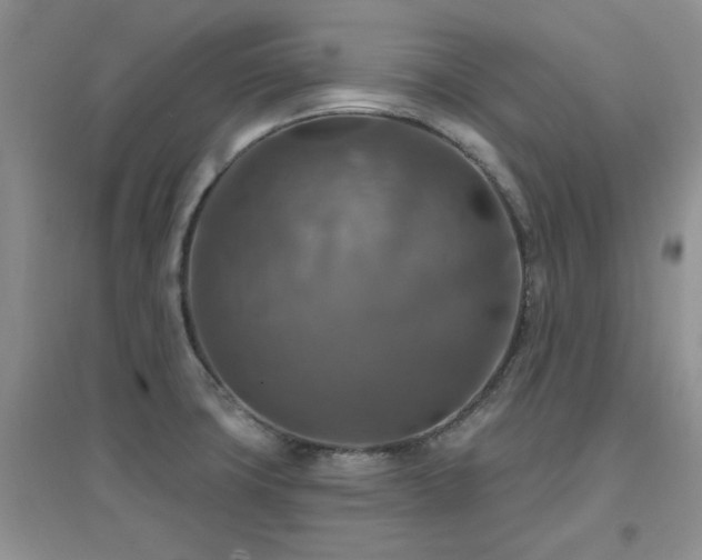 X0000096971427200802081242