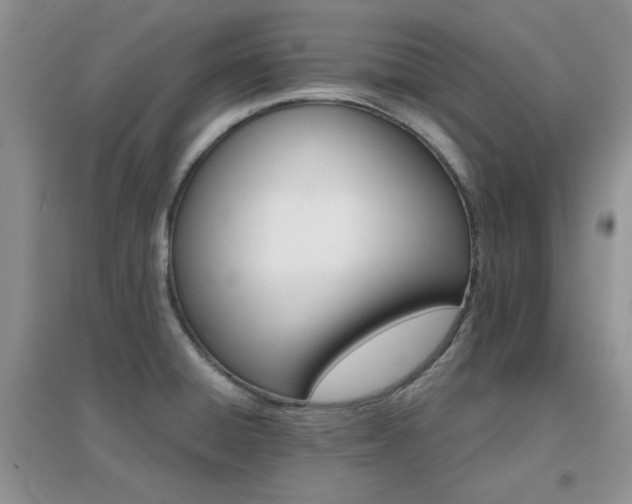 X0000096971428200802081242