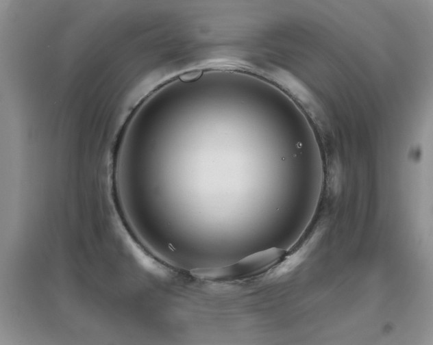 X0000096971430200802081242