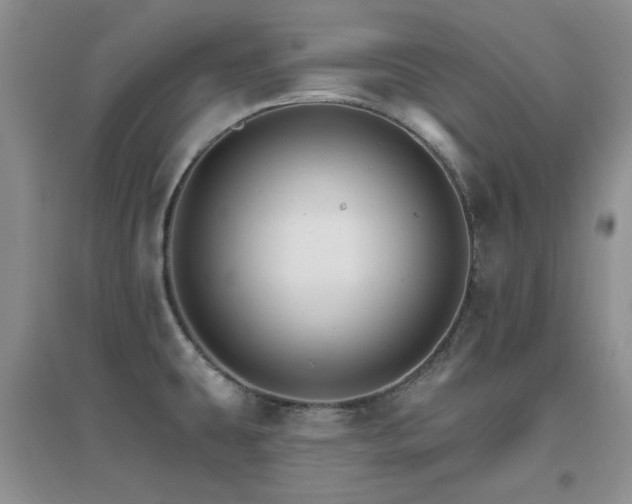 X0000096971431200802081242