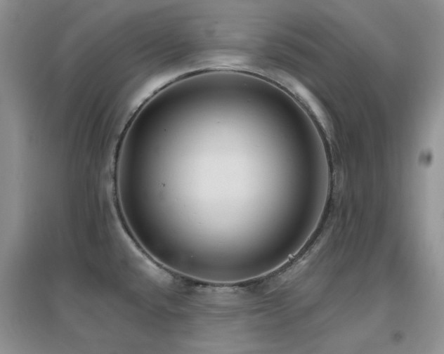 X0000096971432200802081242