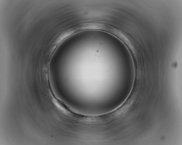 X0000096971433200802081242