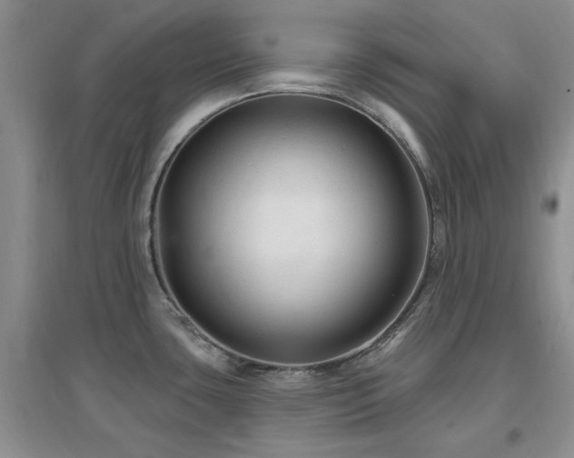 X0000096971435200802081242