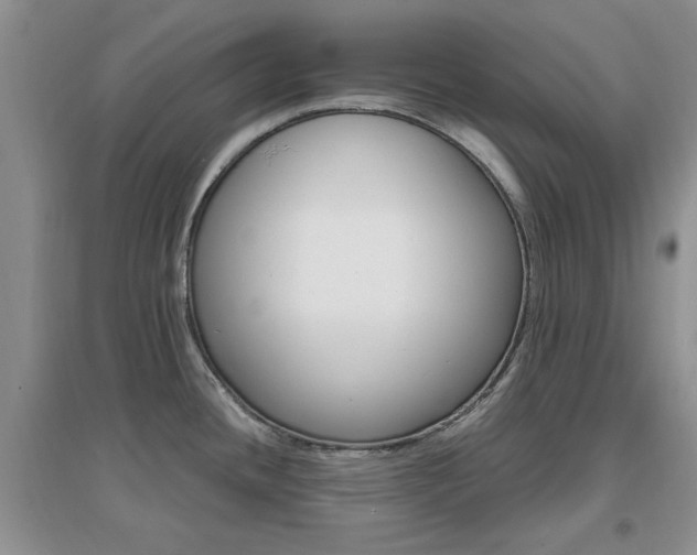 X0000096971436200802081242