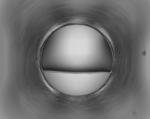 X0000096971437200802081242