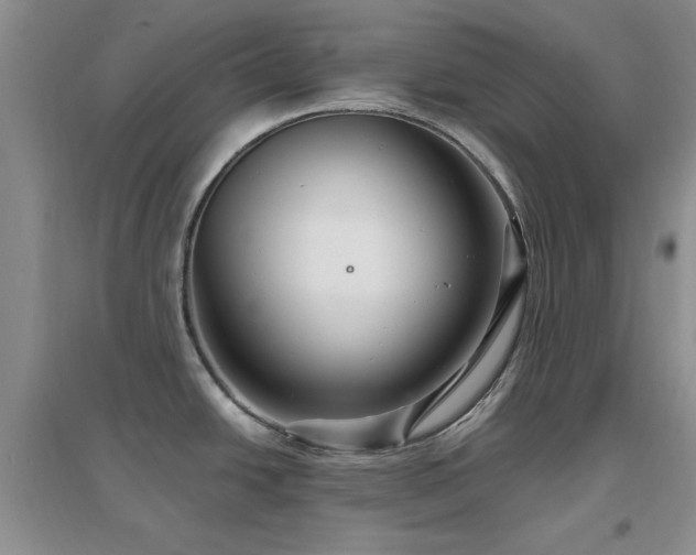 X0000096971438200802081242