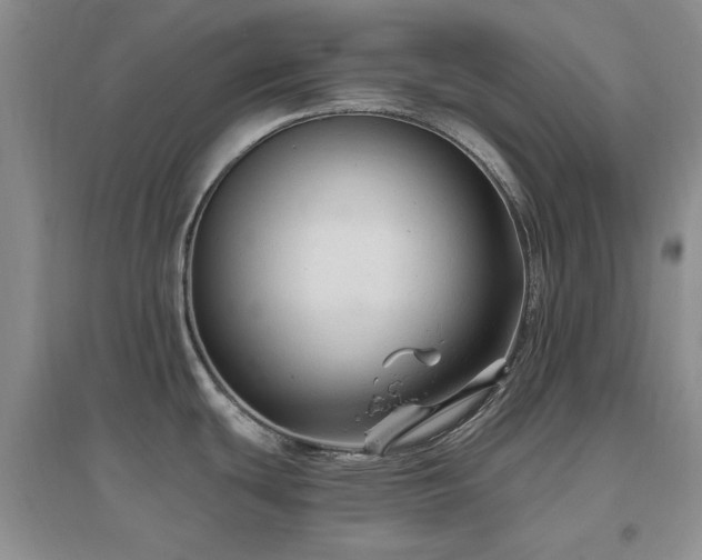 X0000096971439200802081242