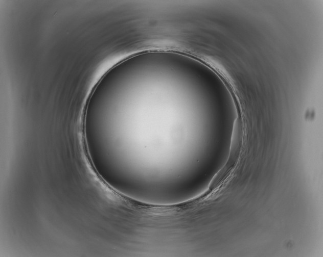 X0000096971440200802081242